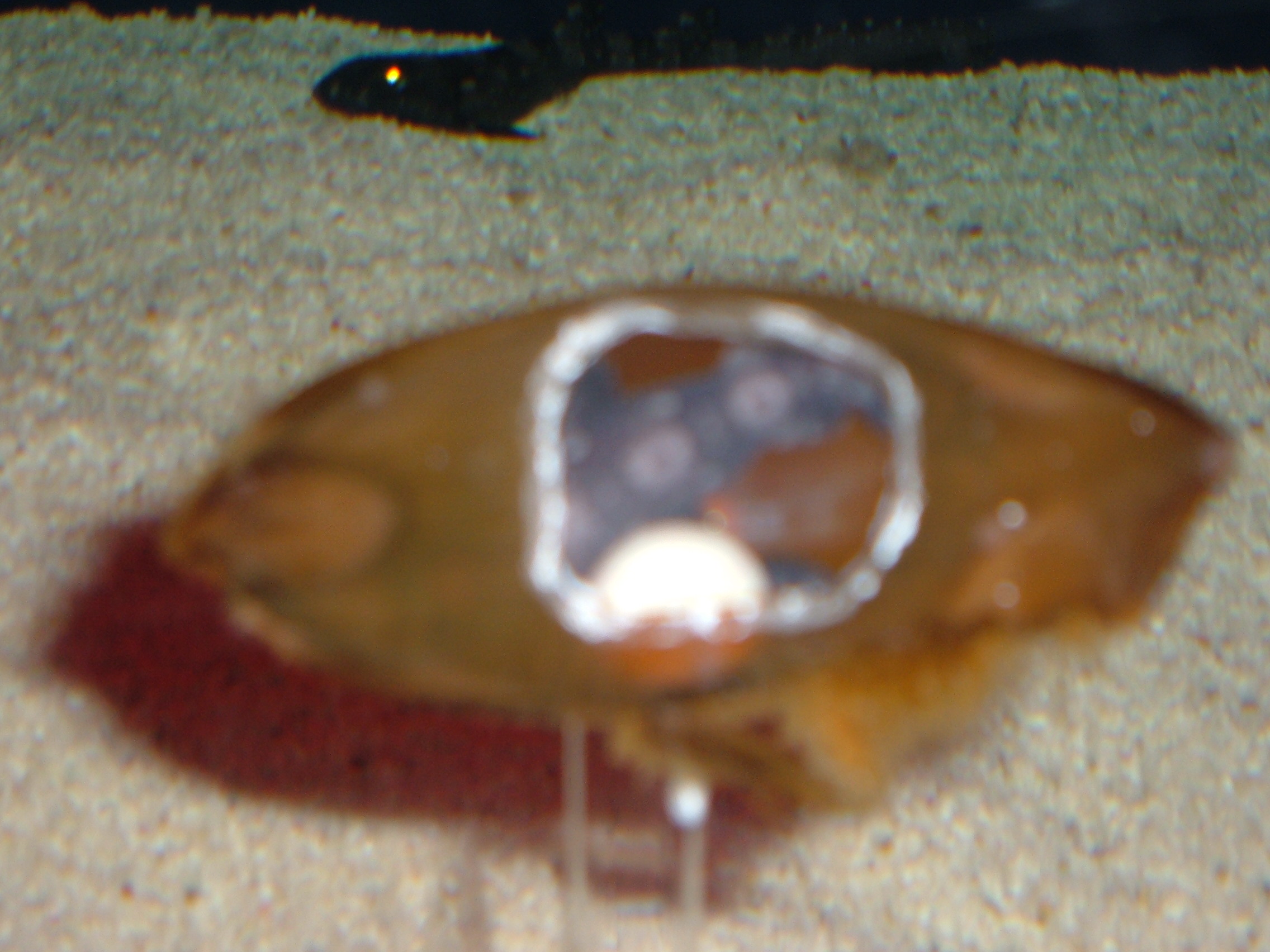dive-photo