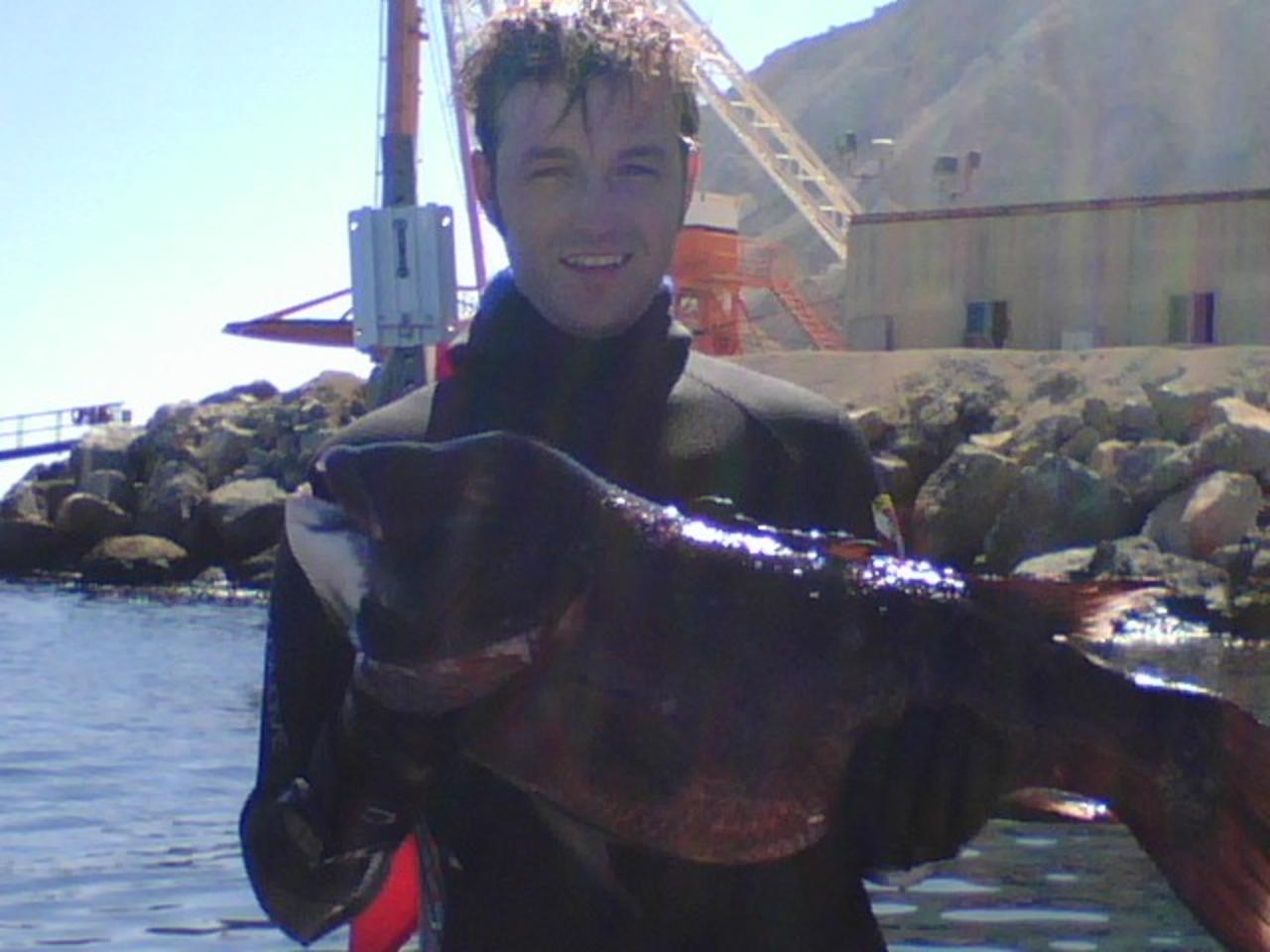 dive-photo